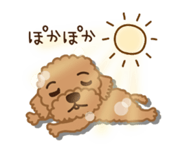 Winter Sticker of toy poodle "Captain" sticker #9036836