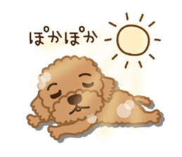 Winter Sticker of toy poodle "Captain" sticker #9036836