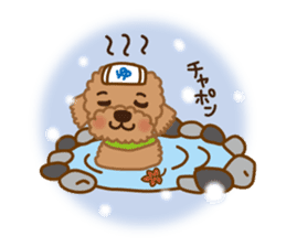 Winter Sticker of toy poodle "Captain" sticker #9036841