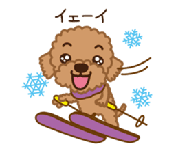 Winter Sticker of toy poodle "Captain" sticker #9036842