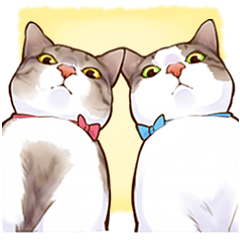 cat that omame and adzuki  2