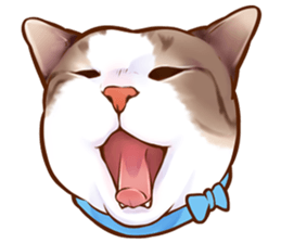 cat that omame and adzuki  2 sticker #9037932