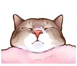 cat that omame and adzuki  2 sticker #9037934