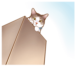 cat that omame and adzuki  2 sticker #9037936