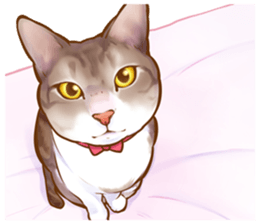 cat that omame and adzuki  2 sticker #9037938