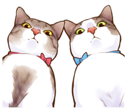 cat that omame and adzuki  2 sticker #9037941