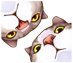 cat that omame and adzuki  2 sticker #9037943