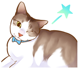 cat that omame and adzuki  2 sticker #9037948