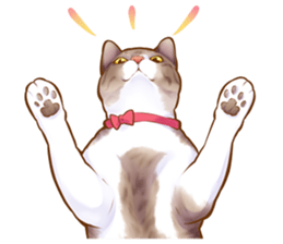 cat that omame and adzuki  2 sticker #9037955