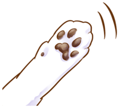 cat that omame and adzuki  2 sticker #9037956