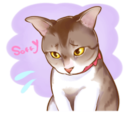 cat that omame and adzuki  2 sticker #9037958