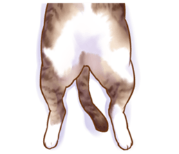 cat that omame and adzuki  2 sticker #9037959