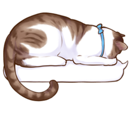 cat that omame and adzuki  2 sticker #9037961