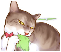 cat that omame and adzuki  2 sticker #9037962