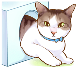 cat that omame and adzuki  2 sticker #9037965