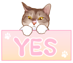 cat that omame and adzuki  2 sticker #9037966