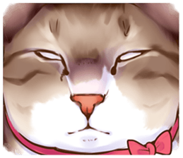 cat that omame and adzuki  2 sticker #9037967