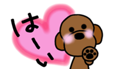 Poodle family~daliy life conversation 2~ sticker #9038315