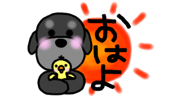 Poodle family~daliy life conversation 2~ sticker #9038324