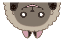 Pretty Pomeranian sticker #9040615