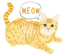 Orange tabby cat Sticker. sticker #9040816