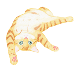 Orange tabby cat Sticker. sticker #9040819
