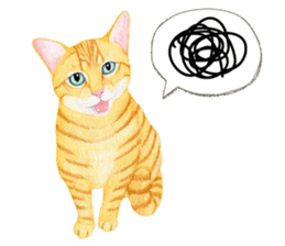 Orange tabby cat Sticker. sticker #9040827