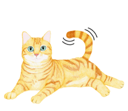 Orange tabby cat Sticker. sticker #9040830