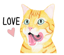 Orange tabby cat Sticker. sticker #9040838