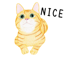 Orange tabby cat Sticker. sticker #9040839