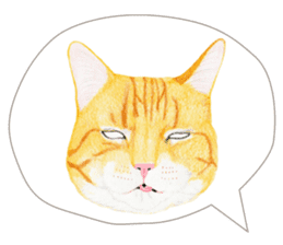 Orange tabby cat Sticker. sticker #9040842