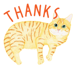 Orange tabby cat Sticker. sticker #9040843
