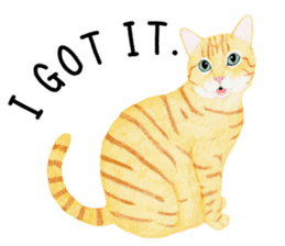 Orange tabby cat Sticker. sticker #9040844