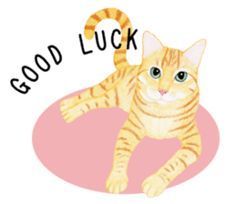 Orange tabby cat Sticker. sticker #9040845