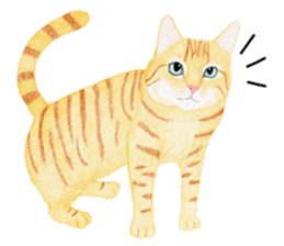 Orange tabby cat Sticker. sticker #9040848