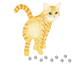 Orange tabby cat Sticker. sticker #9040849