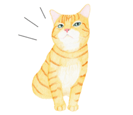 Orange tabby cat Sticker. sticker #9040851