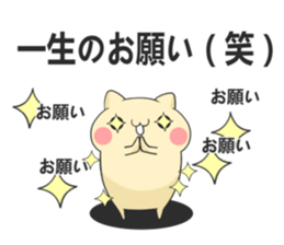 cat 3 brothers3 sticker #9041136