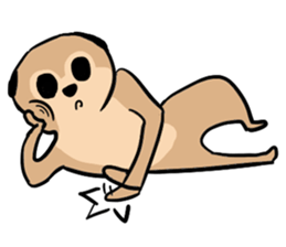 naughty meeeerkat sticker #9041813