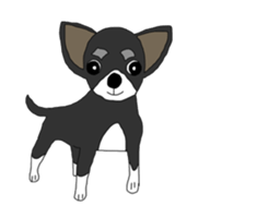 Chihuahua large set sticker #9042176