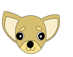 Chihuahua large set sticker #9042178