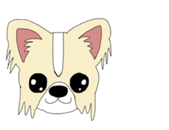 Chihuahua large set sticker #9042184