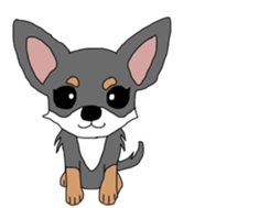 Chihuahua large set sticker #9042188
