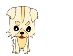 Chihuahua large set sticker #9042191