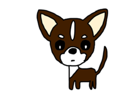 Chihuahua large set sticker #9042194