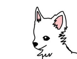 Chihuahua large set sticker #9042205