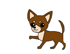 Chihuahua large set sticker #9042208