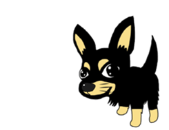 Chihuahua large set sticker #9042209