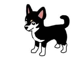 Chihuahua large set sticker #9042210