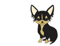 Chihuahua large set sticker #9042211